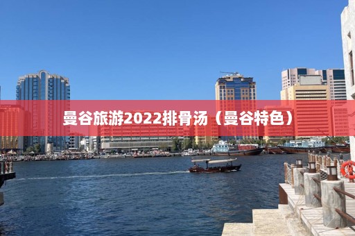 曼谷旅游2022排骨汤（曼谷特色）  第1张