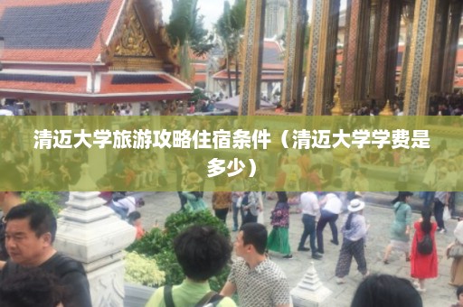 清迈大学旅游攻略住宿条件（清迈大学学费是多少）  第1张