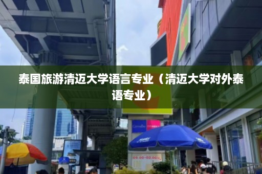 泰国旅游清迈大学语言专业（清迈大学对外泰语专业）