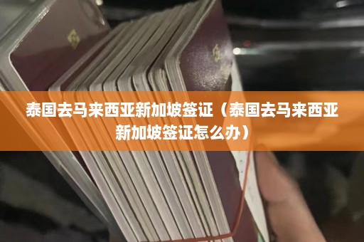 泰国去马来西亚新加坡签证（泰国去马来西亚新加坡签证怎么办）  第1张