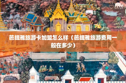 芭提雅旅游卡加盟怎么样（芭提雅旅游费用一般在多少）  第1张