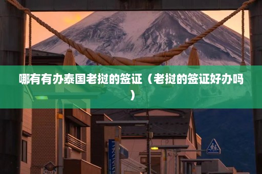 哪有有办泰国老挝的签证（老挝的签证好办吗）