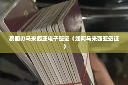 泰国办马来西亚电子签证（如何马来西亚签证）  第1张