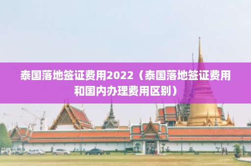 泰国落地签证费用2022（泰国落地签证费用和国内办理费用区别）  第1张