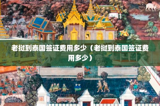 老挝到泰国签证费用多少（老挝到泰国签证费用多少）  第1张