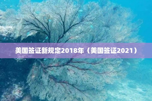 美国签证新规定2018年（美国签证2021）