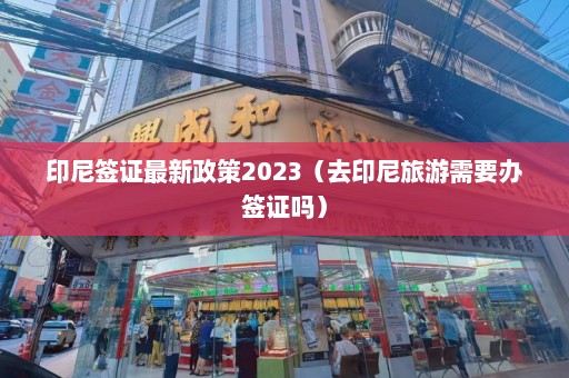 印尼签证最新政策2023（去印尼旅游需要办签证吗）