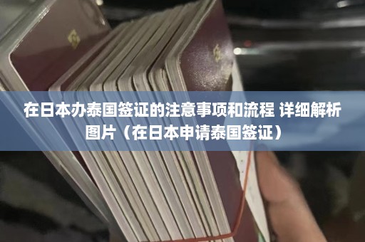 在日本办泰国签证的注意事项和流程 详细解析图片（在日本申请泰国签证）  第1张