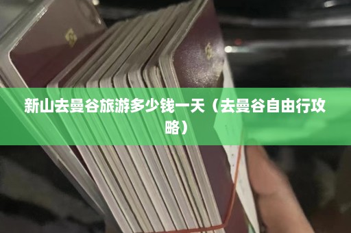 新山去曼谷旅游多少钱一天（去曼谷自由行攻略）  第1张