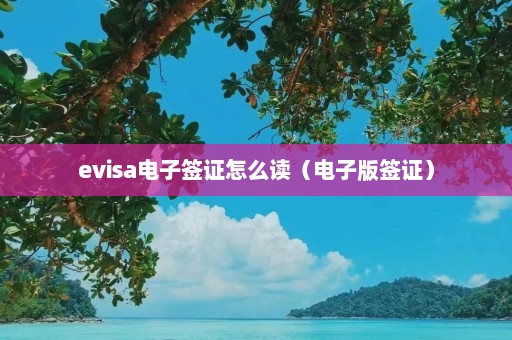 evisa电子签证怎么读（电子版签证）