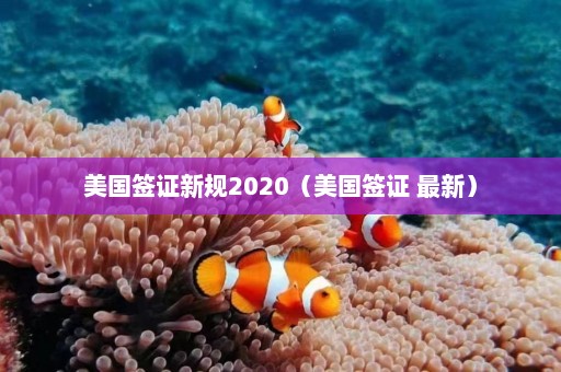 美国签证新规2020（美国签证 最新）