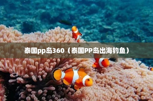 泰国pp岛360（泰国PP岛出海钓鱼）