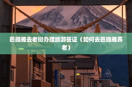 芭提雅去老挝办理旅游签证（如何去芭提雅养老）