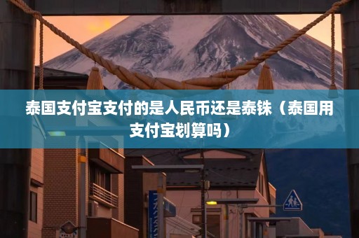 泰国支付宝支付的是人民币还是泰铢（泰国用支付宝划算吗）