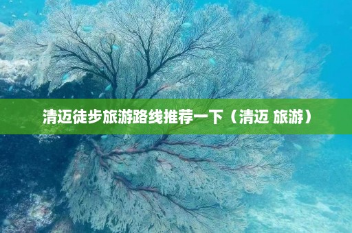 清迈徒步旅游路线推荐一下（清迈 旅游）