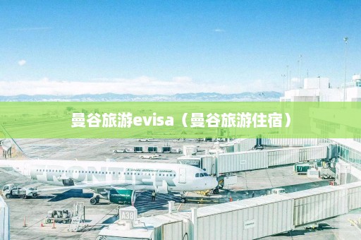 曼谷旅游evisa（曼谷旅游住宿）