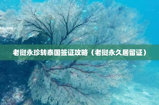 老挝永珍转泰国签证攻略（老挝永久居留证）