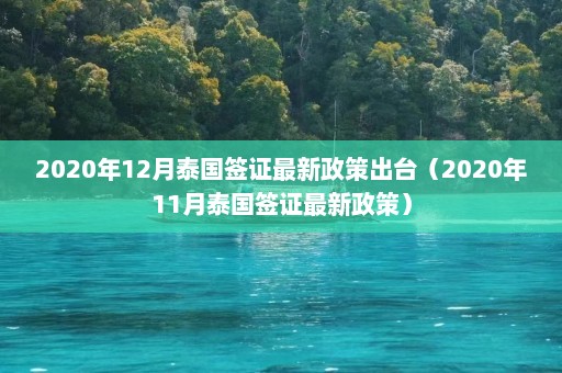 2020年12月泰国签证最新政策出台（2020年11月泰国签证最新政策）