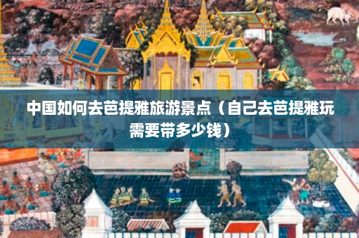 中国如何去芭提雅旅游景点（自己去芭提雅玩需要带多少钱）  第1张