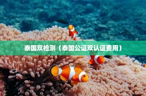 泰国双检测（泰国公证双认证费用）