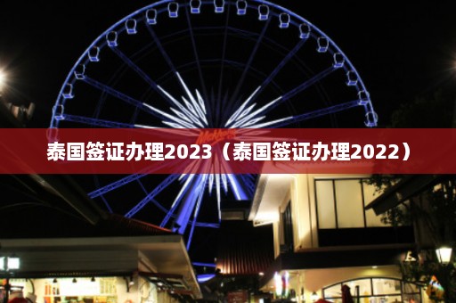 泰国签证办理2023（泰国签证办理2022）  第1张