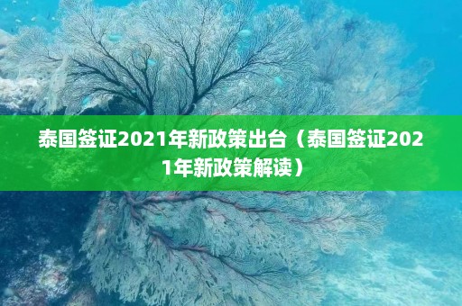 泰国签证2021年新政策出台（泰国签证2021年新政策解读）