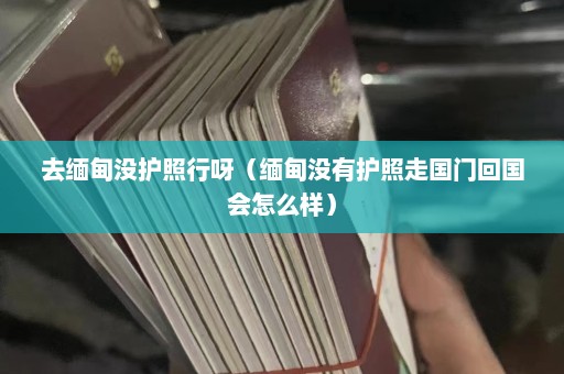 去缅甸没护照行呀（缅甸没有护照走国门回国会怎么样）  第1张