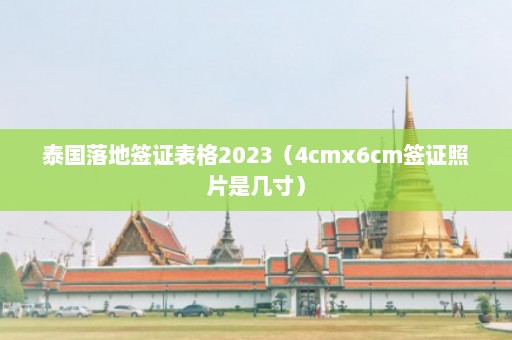 泰国落地签证表格2023（4cmx6cm签证照片是几寸）  第1张