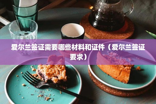 爱尔兰签证需要哪些材料和证件（爱尔兰签证要求）