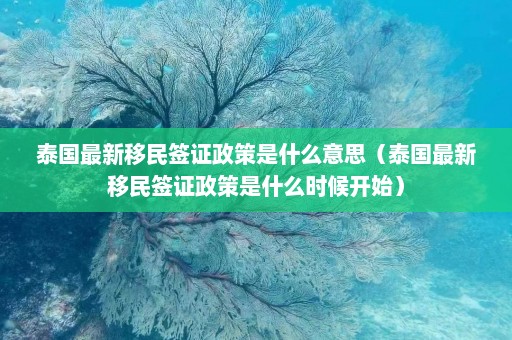 泰国最新移民签证政策是什么意思（泰国最新移民签证政策是什么时候开始）