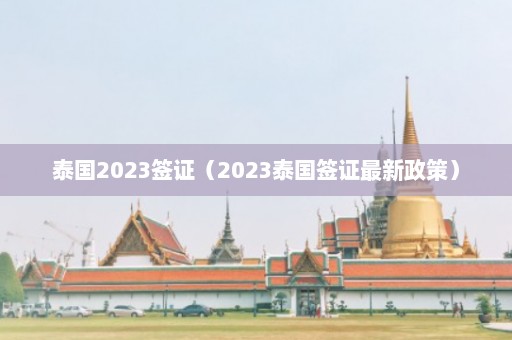 泰国2023签证（2023泰国签证最新政策）  第1张