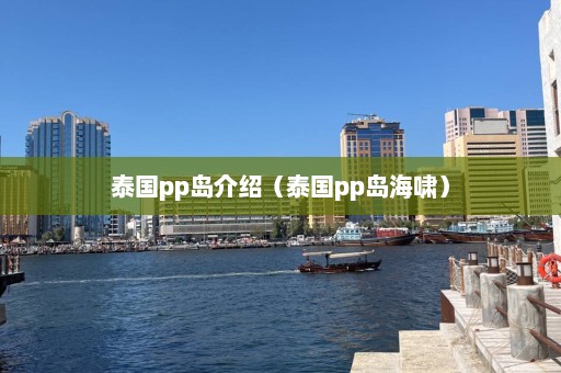 泰国pp岛介绍（泰国pp岛海啸）  第1张