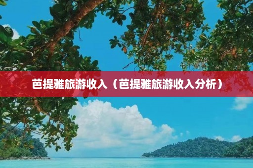 芭提雅旅游收入（芭提雅旅游收入分析）