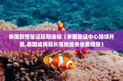 泰国新馆签证延期通知（多国签证中心陆续开放,泰国或将延长落地签免收费措施）