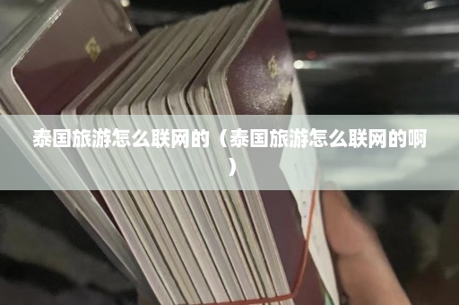 泰国旅游怎么联网的（泰国旅游怎么联网的啊）  第1张