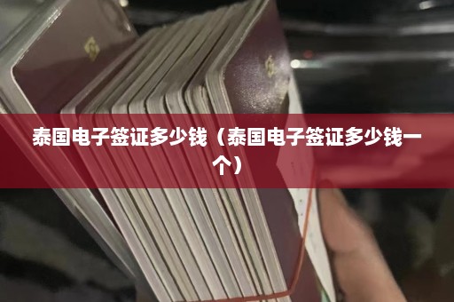 泰国电子签证多少钱（泰国电子签证多少钱一个）  第1张