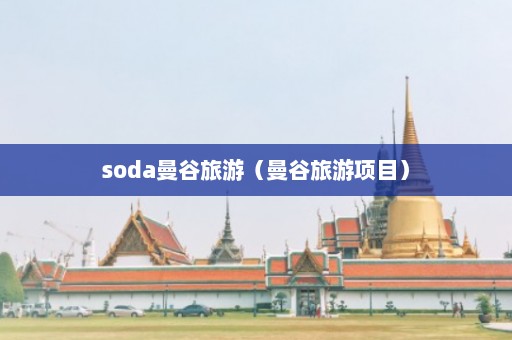 soda曼谷旅游（曼谷旅游项目）  第1张