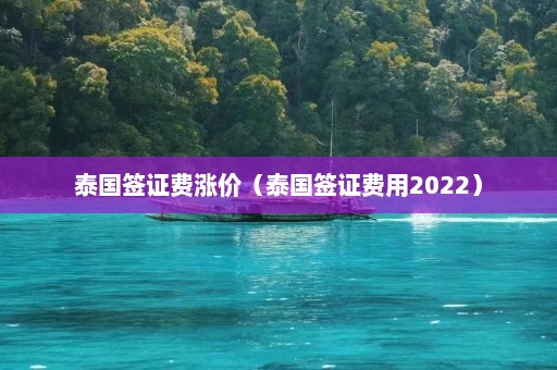 泰国签证费涨价（泰国签证费用2022）