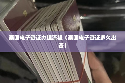 泰国电子签证办理流程（泰国电子签证多久出签）  第1张