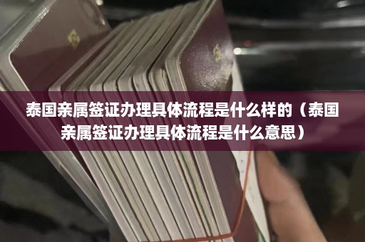 泰国亲属签证办理具体流程是什么样的（泰国亲属签证办理具体流程是什么意思）