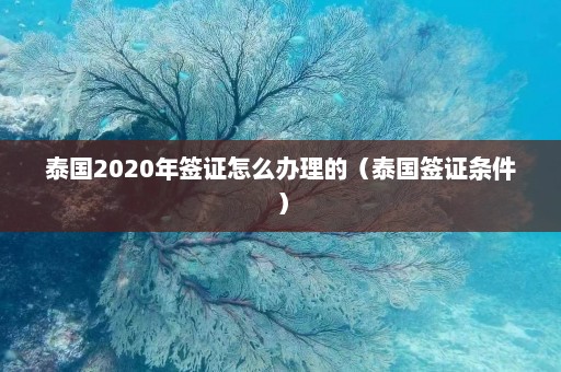 泰国2020年签证怎么办理的（泰国签证条件）