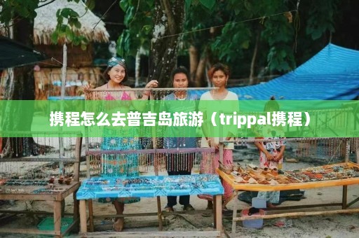 携程怎么去普吉岛旅游（trippal携程）