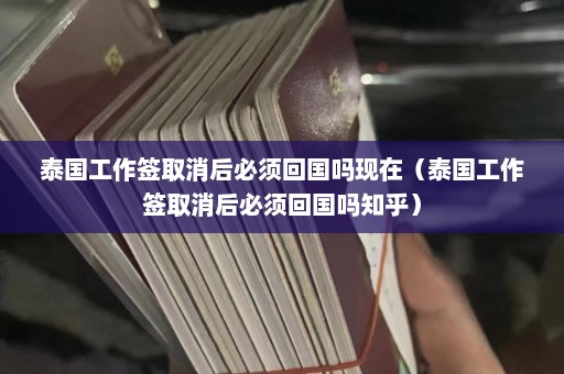 泰国工作签取消后必须回国吗现在（泰国工作签取消后必须回国吗知乎）  第1张