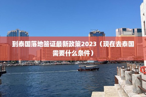 到泰国落地签证最新政策2023（现在去泰国需要什么条件）  第1张