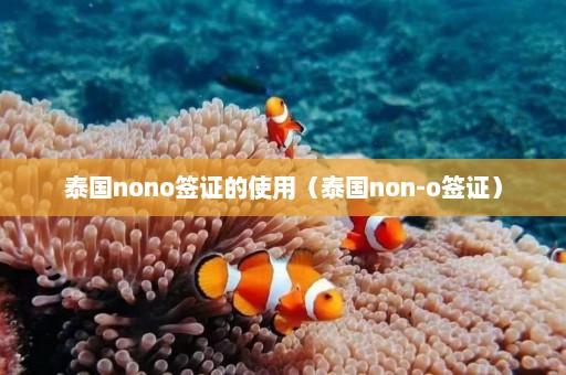 泰国nono签证的使用（泰国non-o签证）