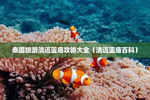 泰国旅游清迈蓝庙攻略大全（清迈蓝庙百科）