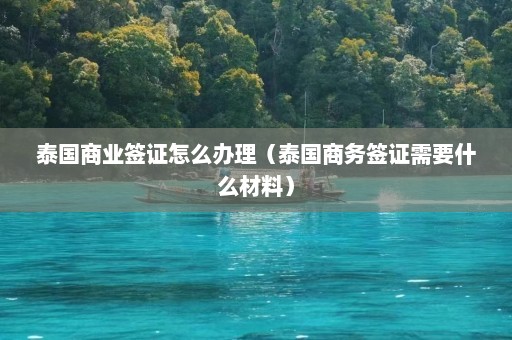 泰国商业签证怎么办理（泰国商务签证需要什么材料）