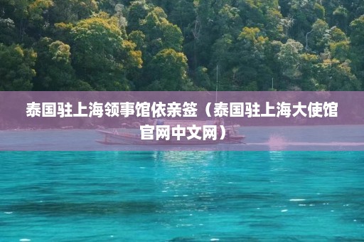 泰国驻上海领事馆依亲签（泰国驻上海大使馆官网中文网）