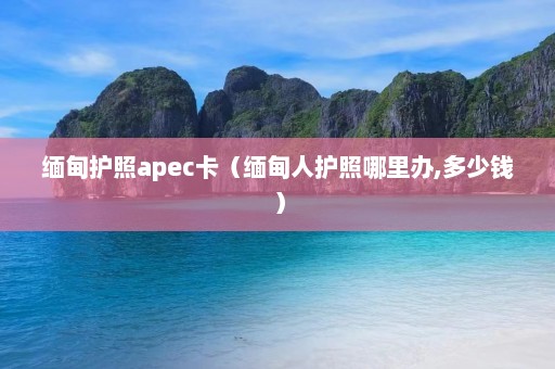 缅甸护照apec卡（缅甸人护照哪里办,多少钱）