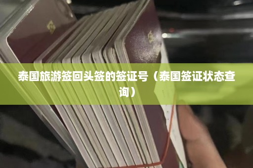 泰国旅游签回头签的签证号（泰国签证状态查询）  第1张